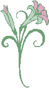 IMAGE GALLERY