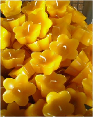 yellowflower